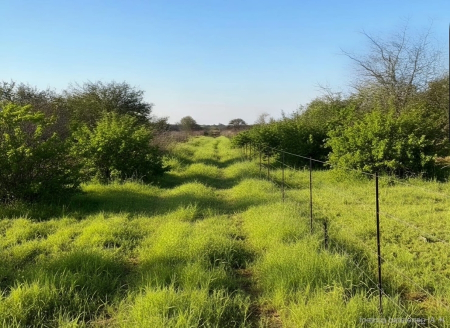 Commercial Property for Sale in Vryburg Rural North West